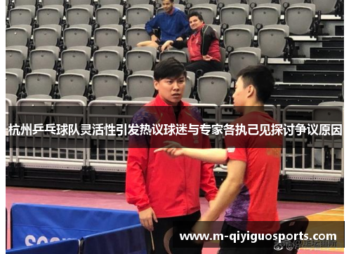 杭州乒乓球队灵活性引发热议球迷与专家各执己见探讨争议原因